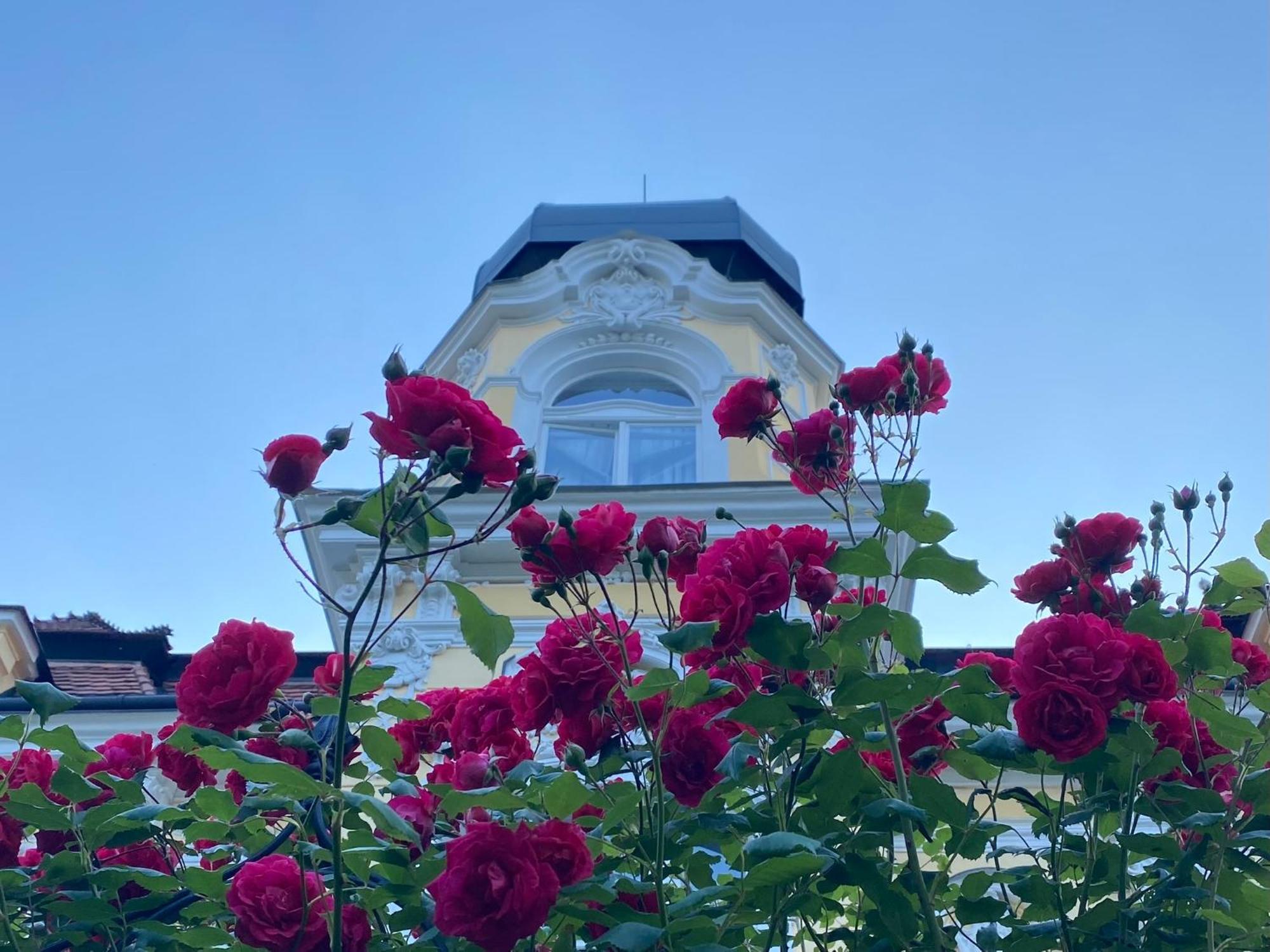Appartamento Salve Teplice Esterno foto