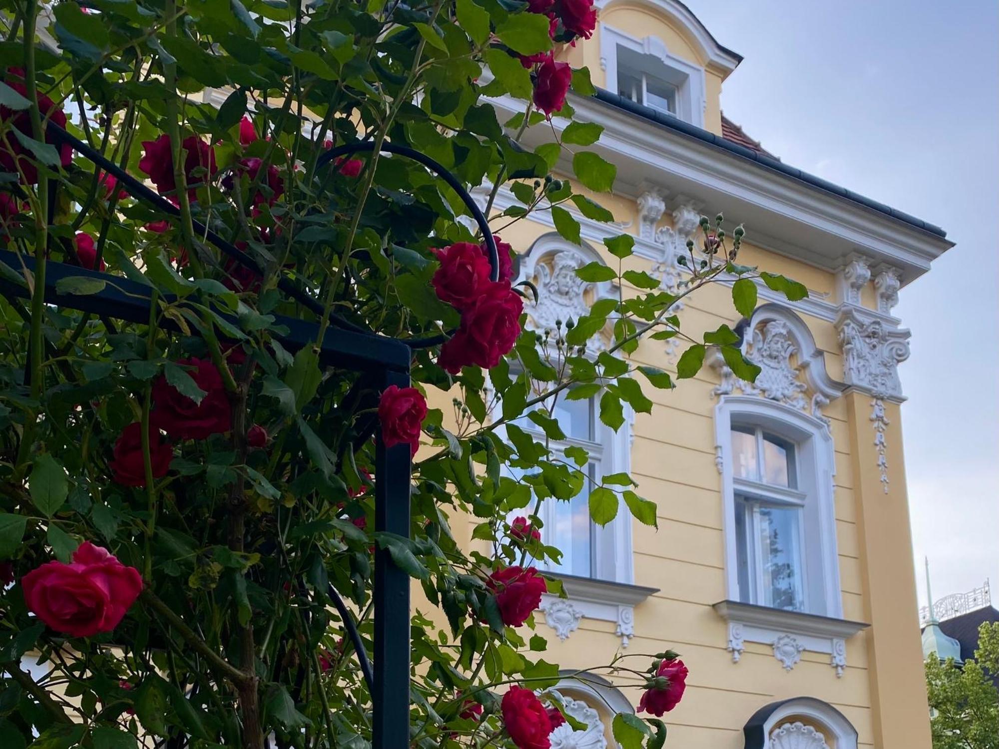 Appartamento Salve Teplice Esterno foto